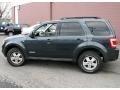 2008 Black Pearl Slate Metallic Ford Escape XLT V6 4WD  photo #9