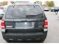 2008 Black Pearl Slate Metallic Ford Escape XLT V6 4WD  photo #12