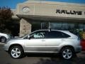 Millennium Silver Metallic - RX 350 AWD Photo No. 3