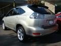 Millennium Silver Metallic - RX 350 AWD Photo No. 4