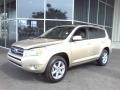 Savannah Metallic - RAV4 Limited Photo No. 19
