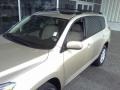 Savannah Metallic - RAV4 Limited Photo No. 21