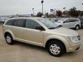 2010 White Gold Dodge Journey SE  photo #7