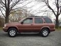 Burnt Copper Pearl 2004 Nissan Pathfinder SE 4x4 Exterior