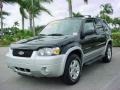 Black - Escape XLT V6 Photo No. 8