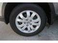 Pewter Pearl - CR-V Special Edition 4WD Photo No. 9