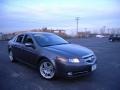 2008 Polished Metal Metallic Acura TL 3.2  photo #5