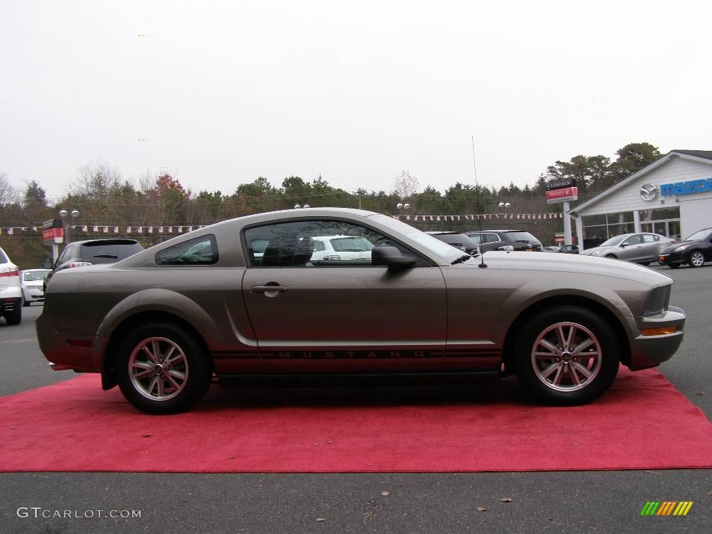 2005 Mustang V6 Premium Coupe - Mineral Grey Metallic / Dark Charcoal photo #4