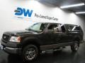 2005 Dark Stone Metallic Ford F150 XLT SuperCab 4x4  photo #2