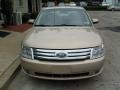 Dune Pearl Metallic - Taurus SEL Photo No. 7