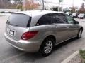 2006 Pewter Metallic Mercedes-Benz R 350 4Matic  photo #6