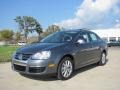 2010 Platinum Grey Metallic Volkswagen Jetta SE Sedan  photo #1