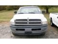 Bright White 2001 Dodge Ram 1500 Gallery