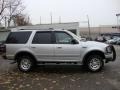 Silver Metallic - Expedition XLT 4x4 Photo No. 6