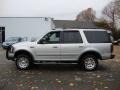 Silver Metallic - Expedition XLT 4x4 Photo No. 11