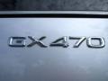 Titanium Silver Metallic - GX 470 Photo No. 9