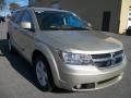 2010 White Gold Dodge Journey SXT  photo #7