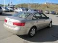Camel Pearl - Sonata GLS Photo No. 8