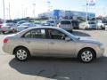 Camel Pearl - Sonata GLS Photo No. 9