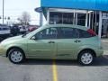 2007 Kiwi Green Metallic Ford Focus ZX5 SE Hatchback  photo #1