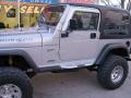 Silverstone Metallic - Wrangler Sport 4x4 Photo No. 2
