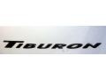 Super Silver - Tiburon GT V6 Photo No. 20