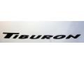 Super Silver - Tiburon GT V6 Photo No. 21