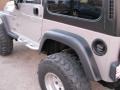 Silverstone Metallic - Wrangler Sport 4x4 Photo No. 5