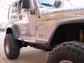 Silverstone Metallic - Wrangler Sport 4x4 Photo No. 10
