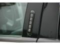 Silver Birch Metallic - Mountaineer AWD Photo No. 8