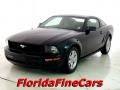 Black - Mustang V6 Deluxe Coupe Photo No. 1