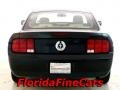 Black - Mustang V6 Deluxe Coupe Photo No. 6