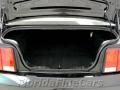 Black - Mustang V6 Deluxe Coupe Photo No. 10