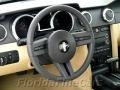 Black - Mustang V6 Deluxe Coupe Photo No. 16