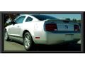 2008 Brilliant Silver Metallic Ford Mustang V6 Deluxe Coupe  photo #3