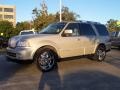 Light French Silk Metallic 2006 Lincoln Navigator Ultimate