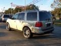 Light French Silk Metallic - Navigator Ultimate Photo No. 3