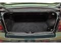 Bright Green Metallic - Cabrio GL Photo No. 14