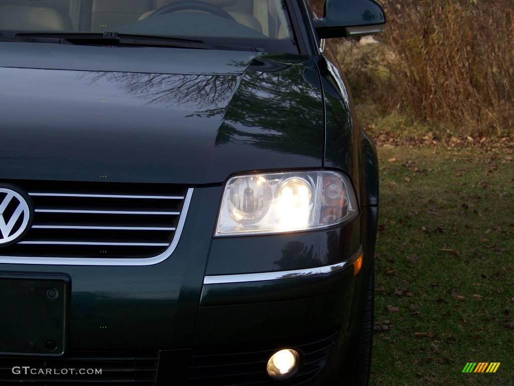 2005 Passat GLX Sedan - Northern Green / Beige photo #10