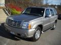 Silver Sand - Escalade AWD Photo No. 2