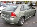 2006 Silver Green Metallic Chevrolet Malibu Maxx LT Wagon  photo #5