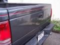 Graphite Metallic - Dakota SXT Regular Cab 4x4 Photo No. 11