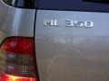 2005 Pewter Metallic Mercedes-Benz ML 350 4Matic Special Edition  photo #15