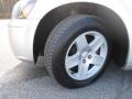 Bright Silver Metallic - Magnum SXT Photo No. 11