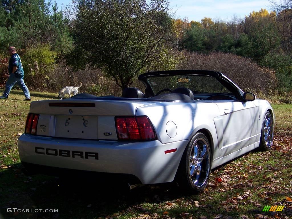 2003 Mustang Cobra Convertible - Silver Metallic / Dark Charcoal photo #5