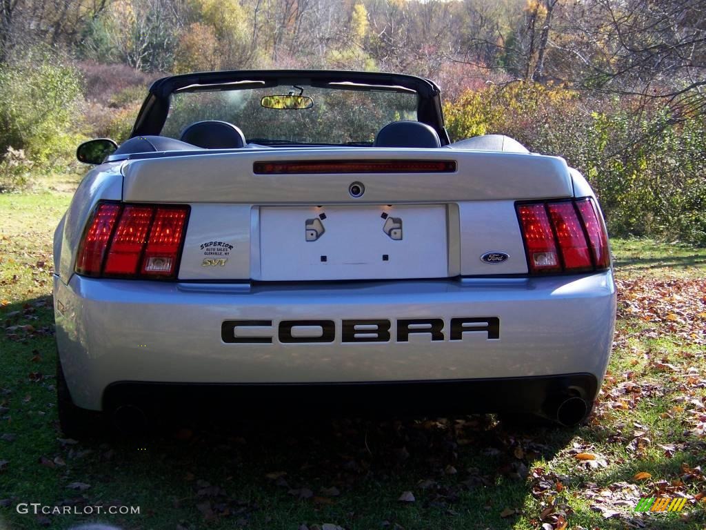 2003 Mustang Cobra Convertible - Silver Metallic / Dark Charcoal photo #6