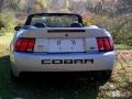 2003 Silver Metallic Ford Mustang Cobra Convertible  photo #6