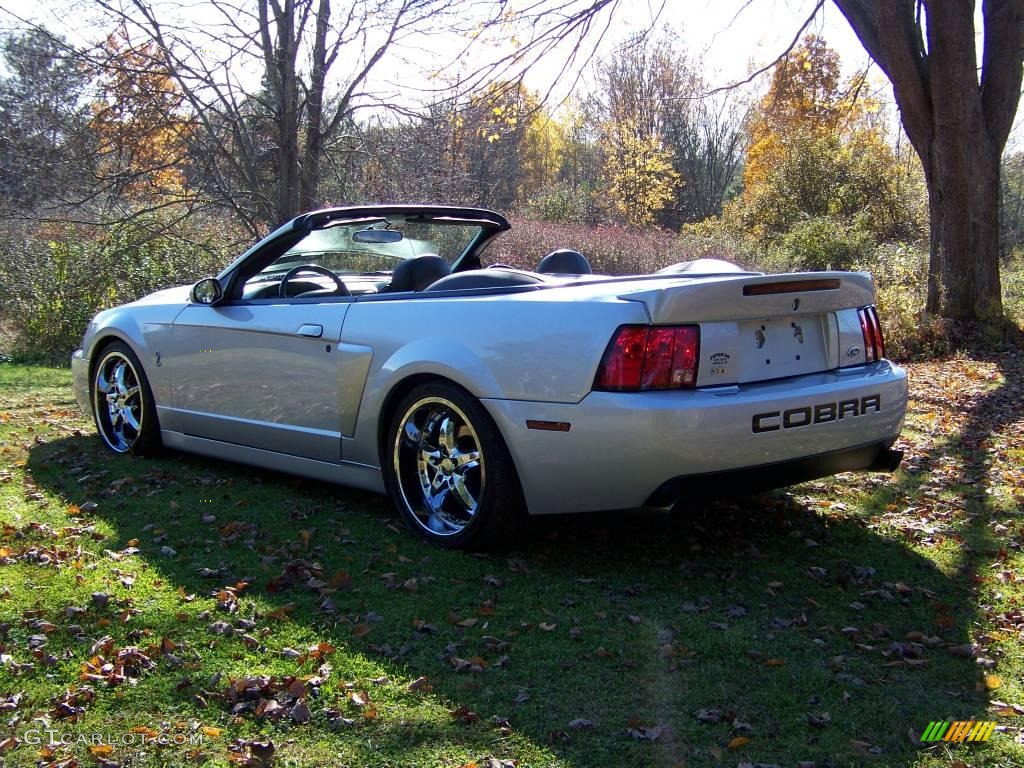 2003 Mustang Cobra Convertible - Silver Metallic / Dark Charcoal photo #7