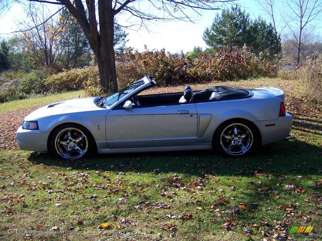 2003 Mustang Cobra Convertible - Silver Metallic / Dark Charcoal photo #8
