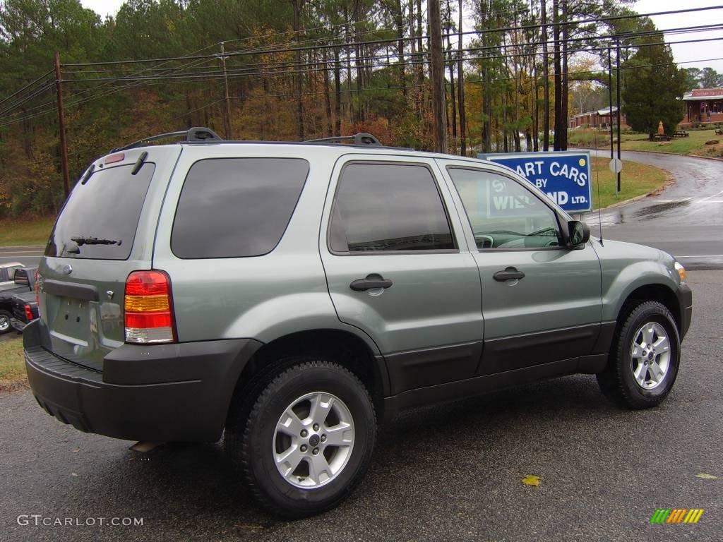 2006 Escape XLT V6 - Titanium Green Metallic / Medium/Dark Flint photo #4